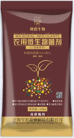 企业动态
