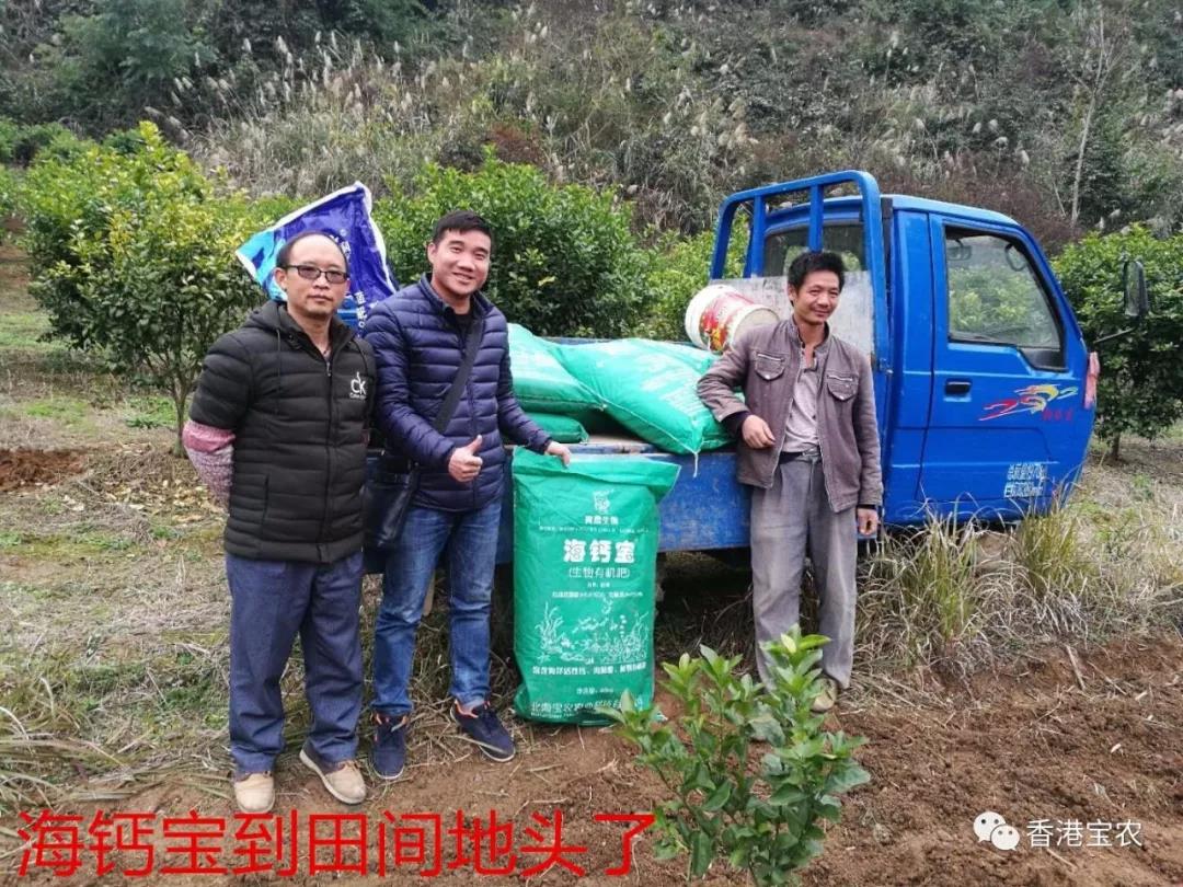 企业动态