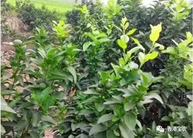 企业动态