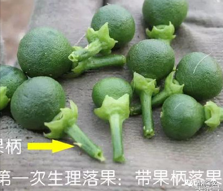 企业动态