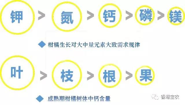 企业动态