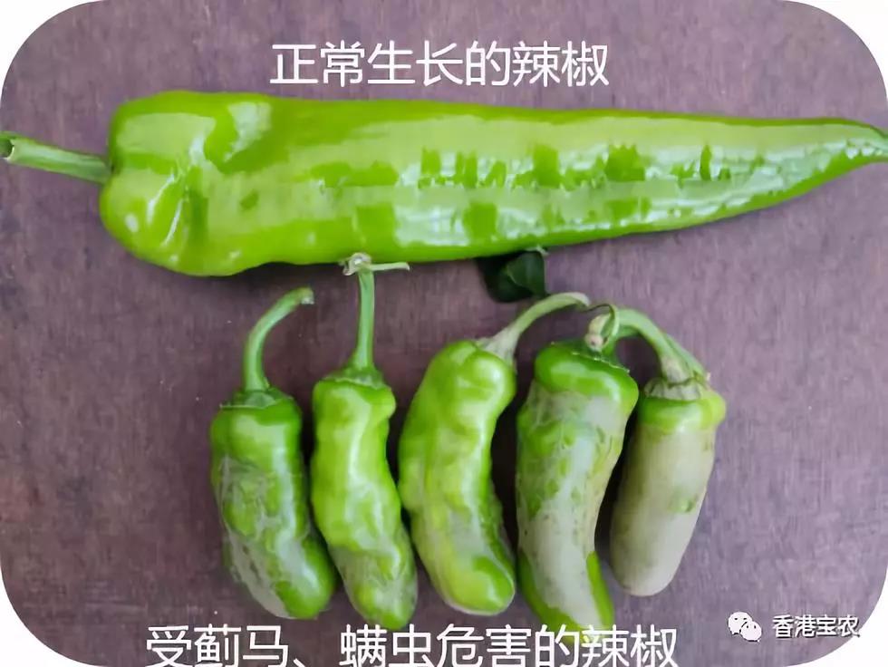 微信图片_20190505171435.jpg