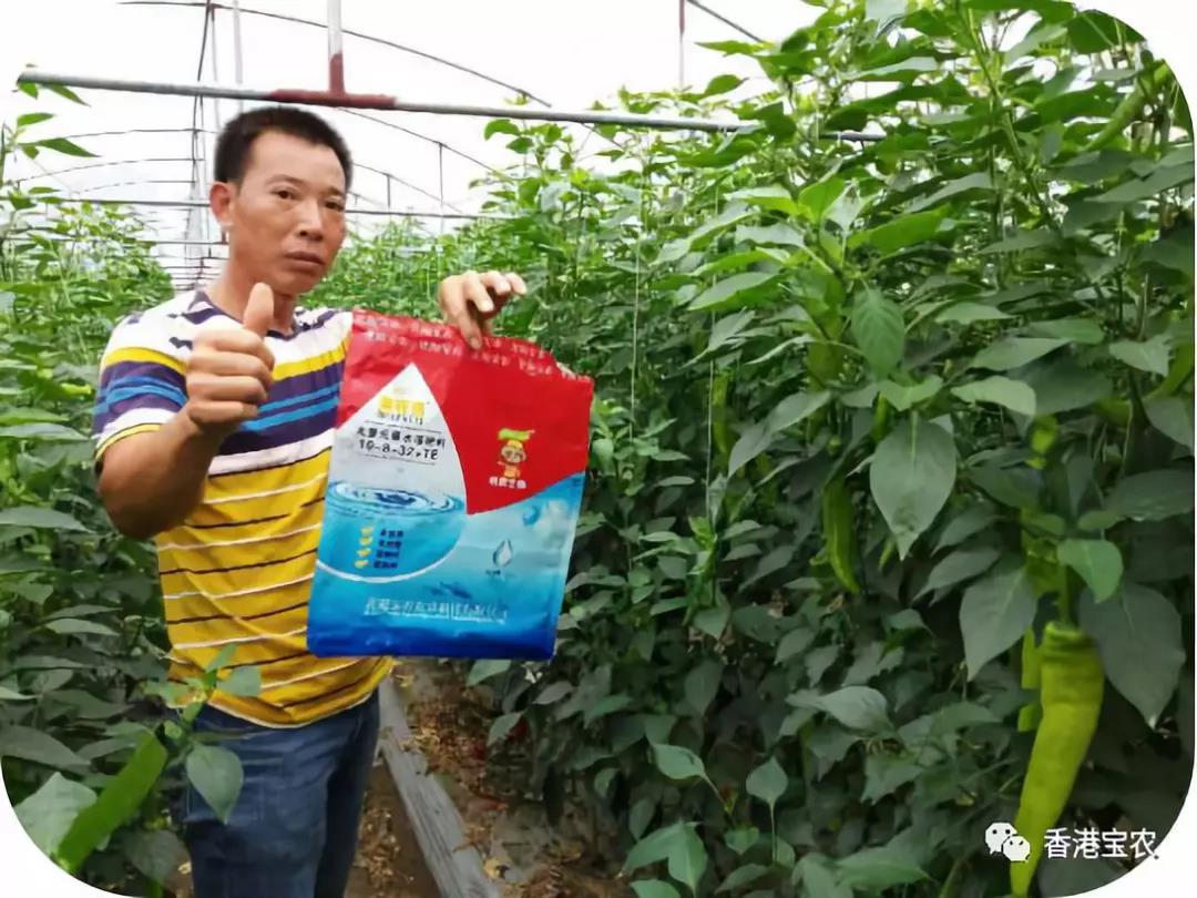 企业动态