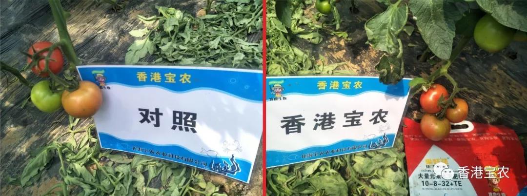 微信图片_20190716141724.jpg