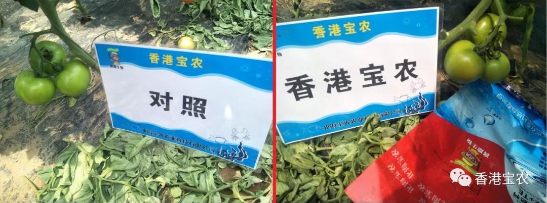 微信图片_20190716141805.jpg