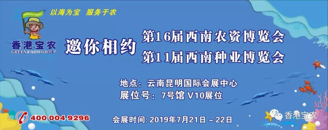 企业动态