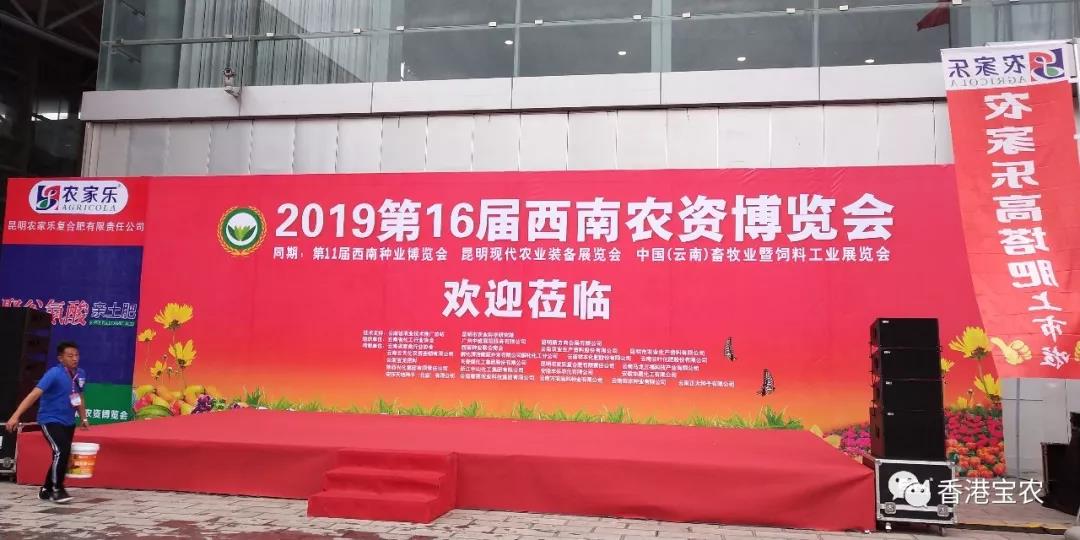 企业动态