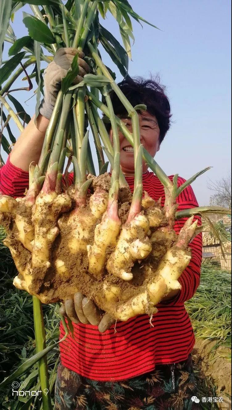 微信图片_20191115113959.jpg