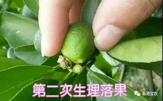 企业动态